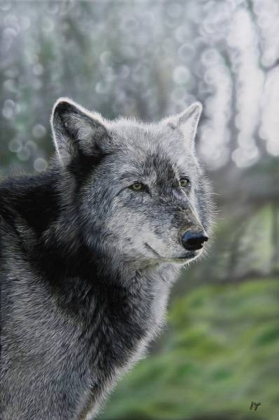 Lone Wolf by John Bye