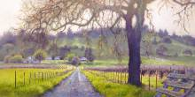Original Painting, Early Spring Sonoma Valley by June Carey