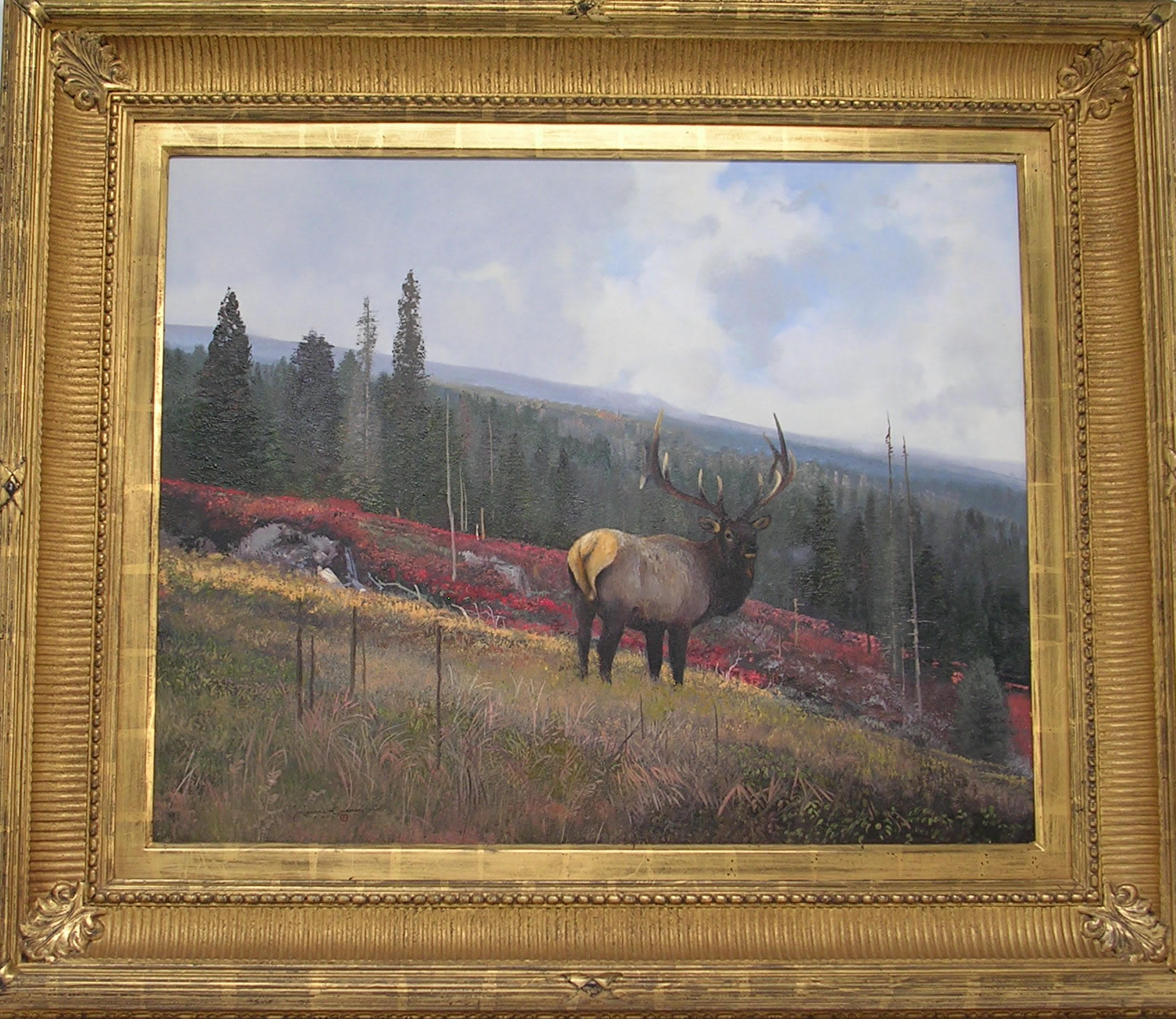 Original Painting, Elk by Michael Coleman