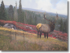 Original Painting, Elk by Michael Coleman