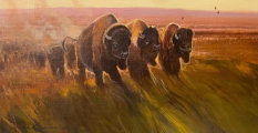 Original Painting, Buffalo Days by Nicholas Coleman