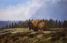Original Painting, Summer Rain in Yellowstone by Nicholas Coleman