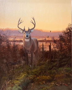 Original Painting, White Tail at Dusk by Nicholas Coleman