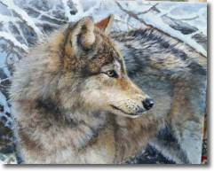 Original Painting, Wolf by Bonnie Marris