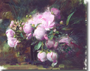 Peonies by Pino