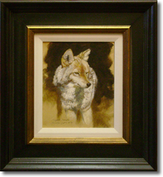 Original Painting, Coyote Study by John Seerey-Lester