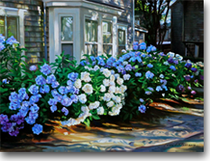 Original Painting, Nantucket Hydrangeas by Evan Wilson