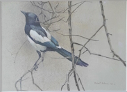 Bateman original mixed media Magpie