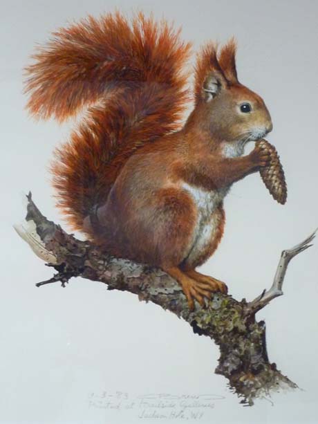 Original Painting, Red Squirrel by Carl Brenders
