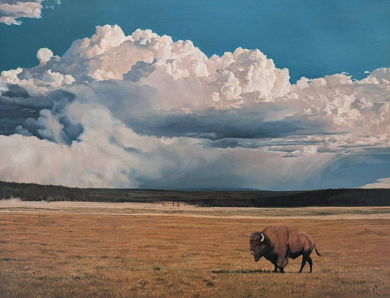 Strength and Solitude by John Bye