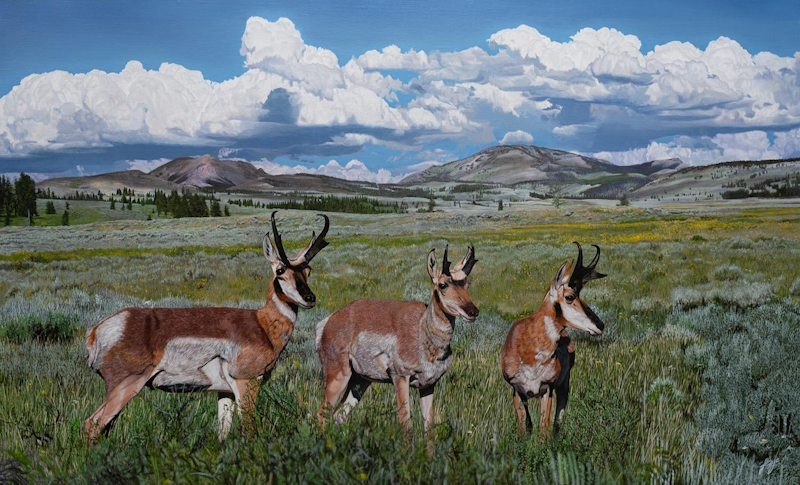 Three Amigos by John Bye