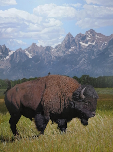 Original Painting, Rider on the Storm By John Bye