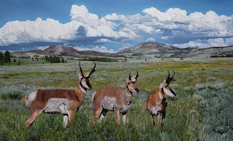 Original Painting, Three Amigos by John Bye