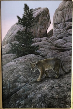 Original Painting, Familiar Territory by Stephen Lyman