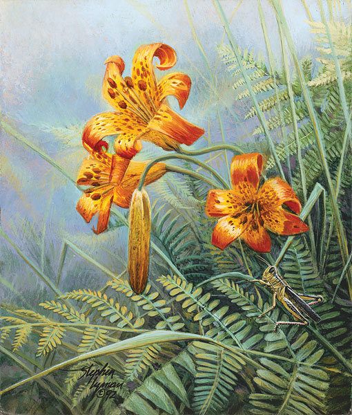 Original Painting, Tiger Lilies and Grasshopper by Stephen Lyman