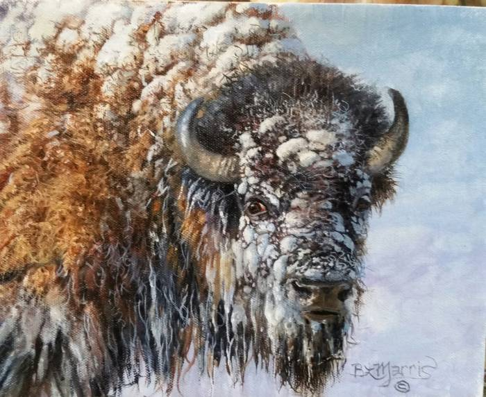 Original painting Bison by Bonnie Marris