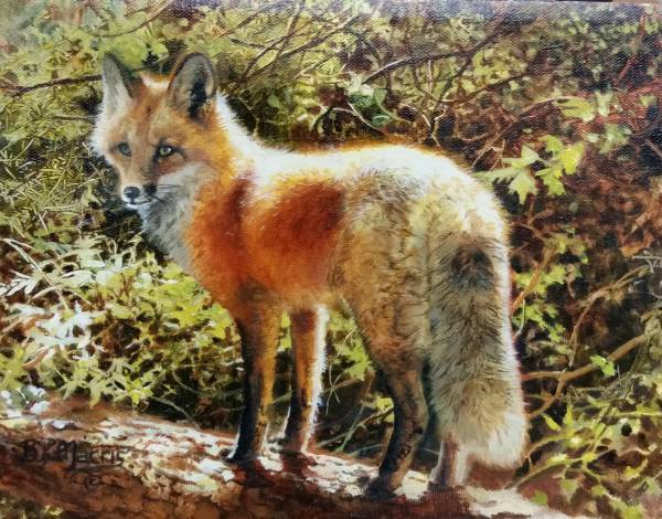 Original painting Fox by Bonnie Marris