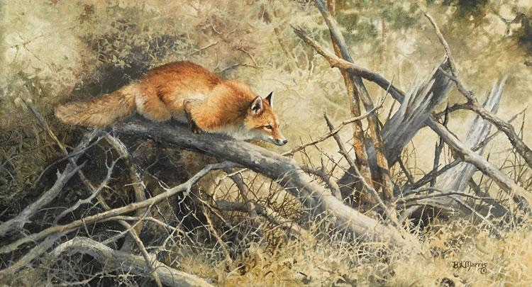 Original painting Red Fox by Bonnie Marris