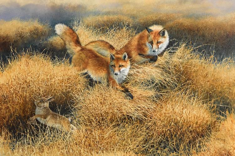 Original painting Red Foxes After a Rabbit by Bonnie Marris