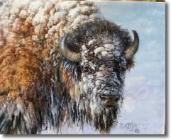 Original Painting, Bison by Bonnie Marris