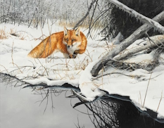 Original Painting, Red Fox in Snow by Bonnie Marris