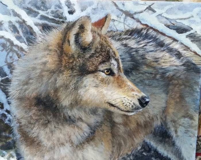 Original painting Wolf by Bonnie Marris