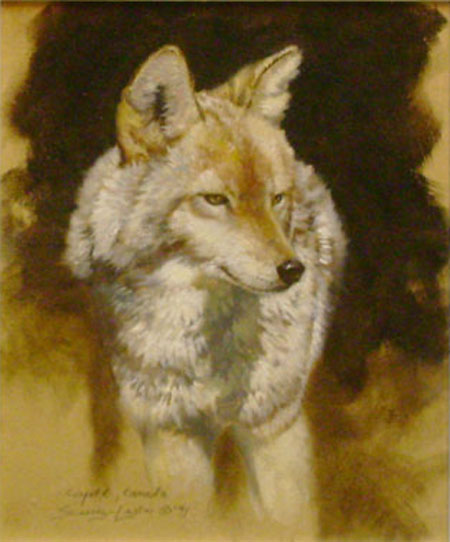 Coyote Study Original Painting by John Seerey-Lester