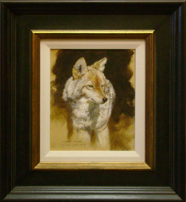 Coyote Study Original Painting by John Seerey-Lester