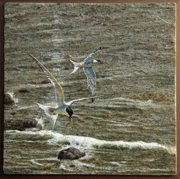 Original painting Terns by Susan von Borstel
